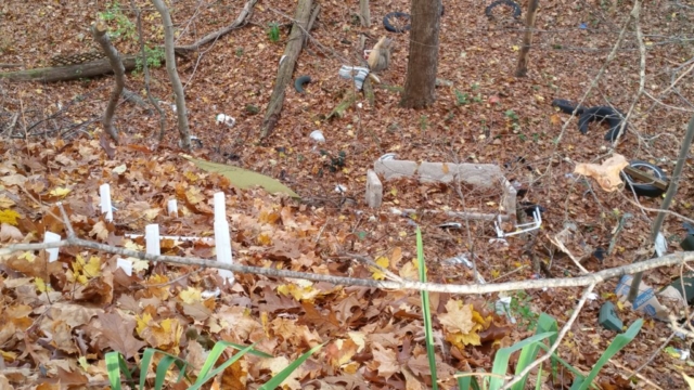 Matlock Cemetery before clean up event